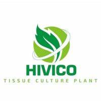 hivico